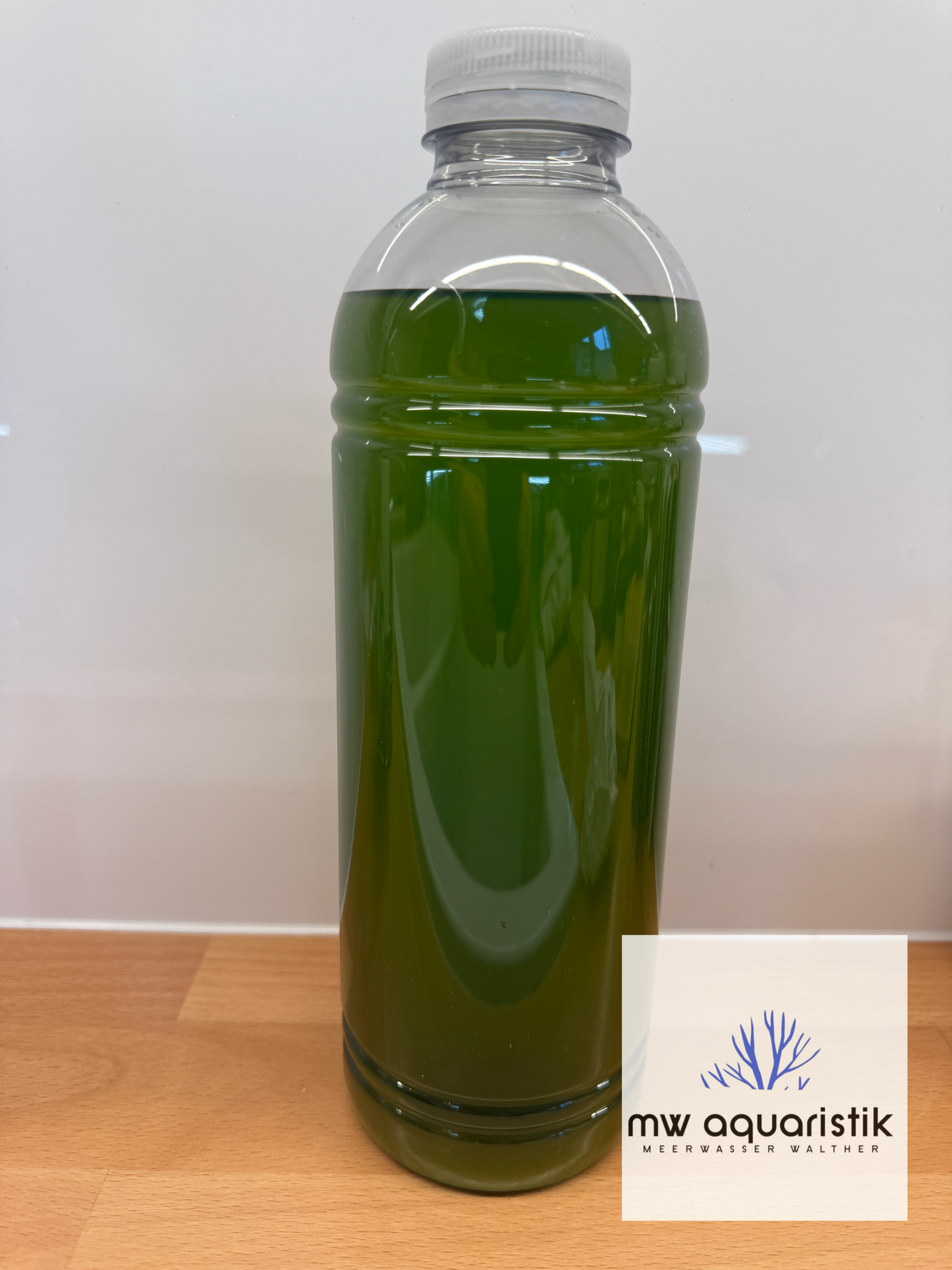 Phytoplankton